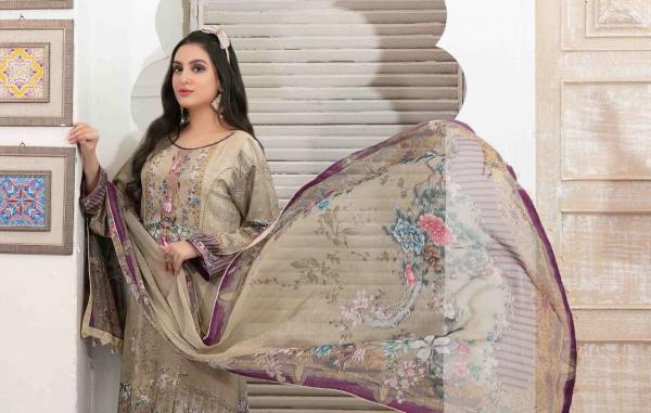 Apna Raiza Sultan Vol-35 Cotton Designer Exclusive Patiyala Suit